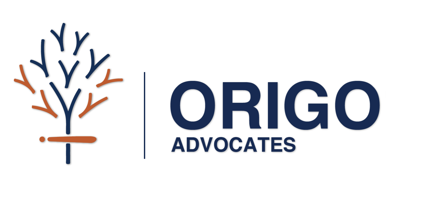 Origo Advocates